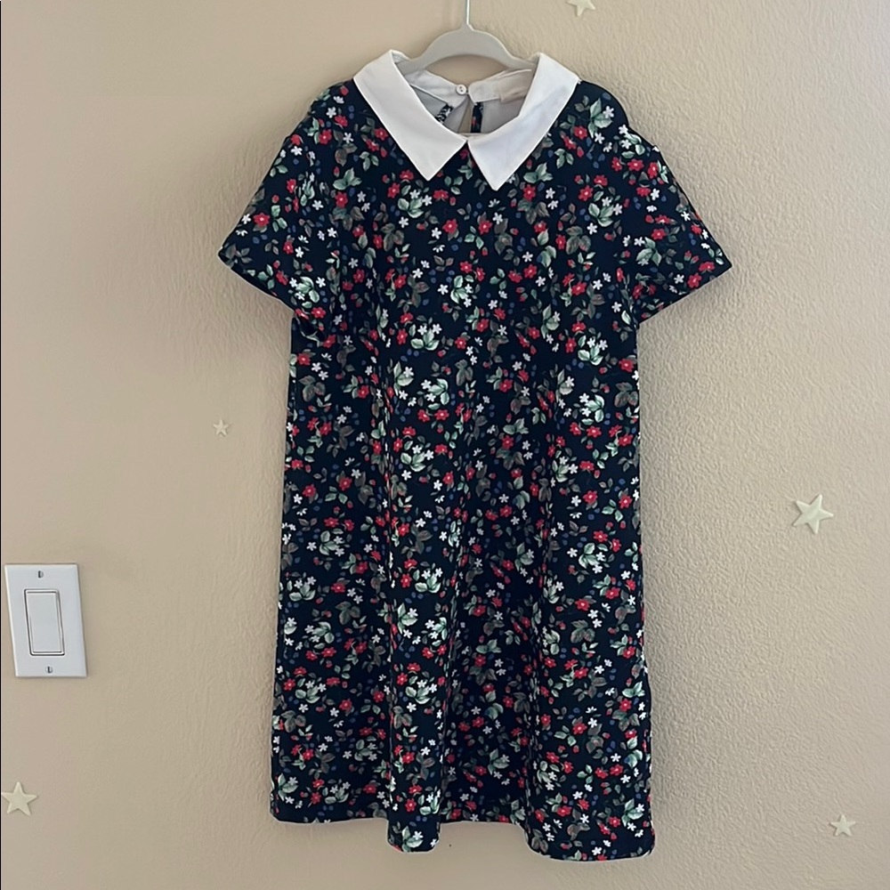 Zara White and Pink Sundress with Peter Pan Collar